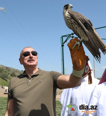 Muxtar Babayev Prezidenti aldatmaq qədərində CƏSARƏTLİDİR? Muxtar Babayev Prezidenti aldatmaq qədərində CƏSARƏTLİDİR?