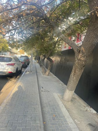 Həbibullayevi durdura bilən OLACAQMI? Həbibullayevi durdura bilən OLACAQMI?