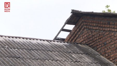 Nazirin balaları bu məktəbdə oxusa: SİNİFDƏ İLANLAR DOLAŞIR... Nazirin balaları bu məktəbdə oxusa: SİNİFDƏ İLANLAR DOLAŞIR...