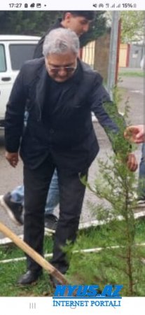 Masallıda yaşıllığa `GƏMİRİCİ`LƏR DARAŞIB...